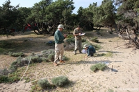 Plot1_rel2_img_3329-1_medium