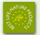Best LIFE Project